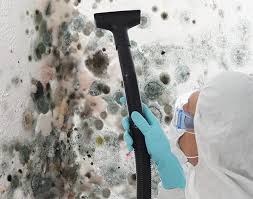 Best Industrial Mold Remediation  in Lincoln, AR